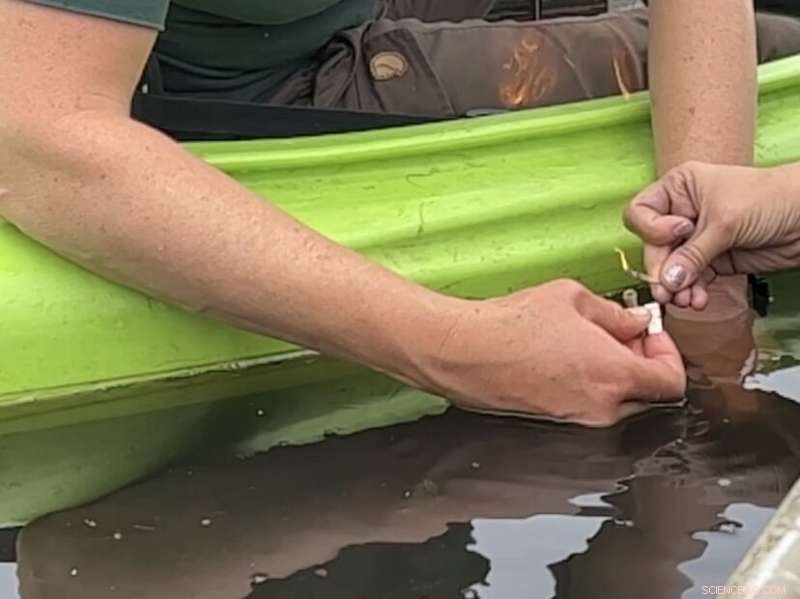 Alaska’s Newest Lakes Emit Methane, Highlighting Climate Risks