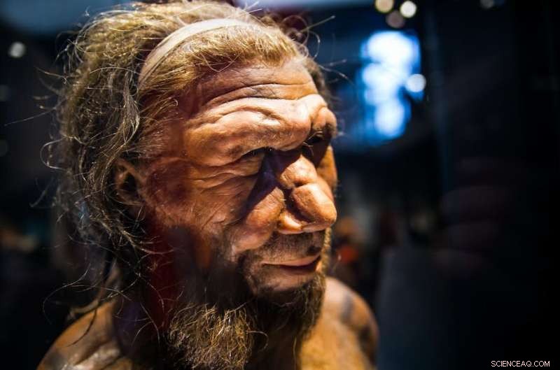 Six Breakthrough Findings Shaping Modern Understanding of Human Origins