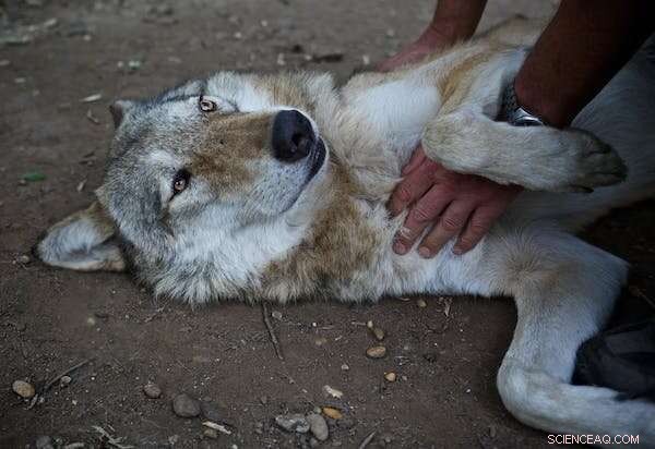 Six Breakthrough Findings Shaping Modern Understanding of Human Origins