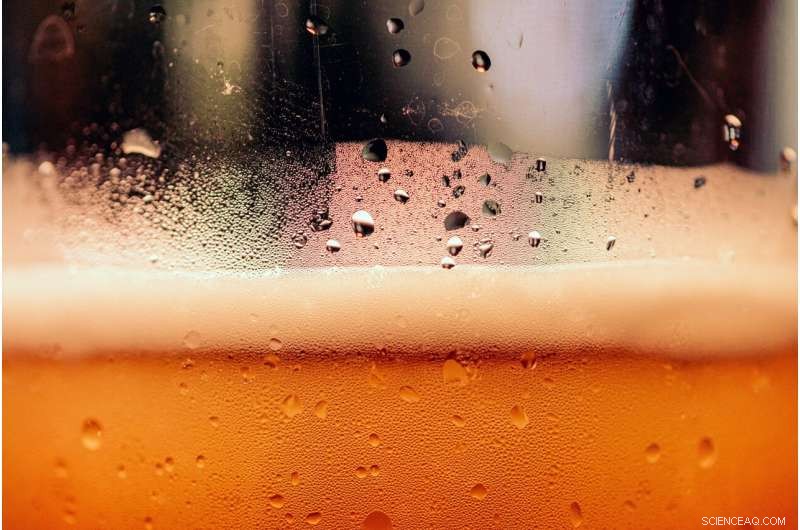 Boosting Flavor & Security: How Europe’s Beer & Wine Sectors Innovate with New Yeasts & Blockchain