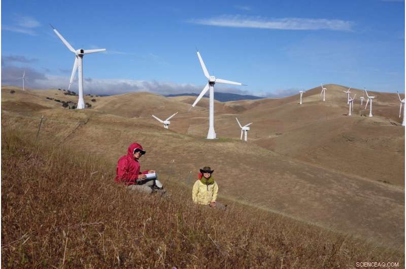 Natural Livestock Management Safeguards California s State Grass