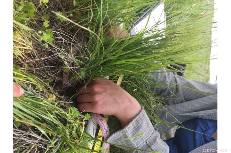 Natural Livestock Management Safeguards California s State Grass