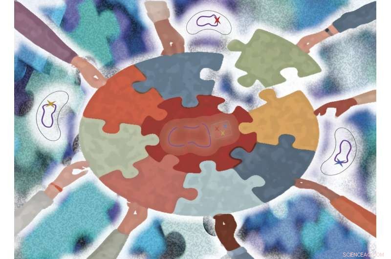 Unveiling Lake Bacterioplankton Genomic Diversity: A Structural Microdiversity Analysis