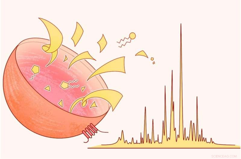 Scientists Achieve Full Molecular Profiling of Mouse Lysosomes with New Technique