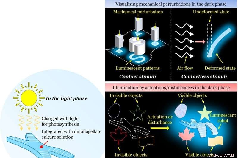 Algae‑Powered Soft Devices Emit Light When Deformed – A Breakthrough in Bio‑Hybrid Mechanoluminescence