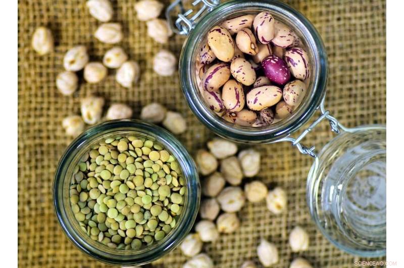 Assessing Conservation and Management of Legume Species in Coastal East Africa