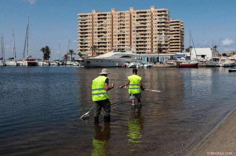Spain Grants Mar Menor Lagoon Personhood Status, Strengthening Environmental Protection