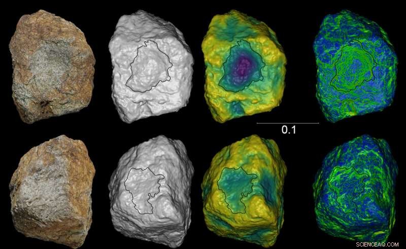 Scientists Uncover Diverse Stone Tools Used by Chimpanzees to Crack Various Nut Species