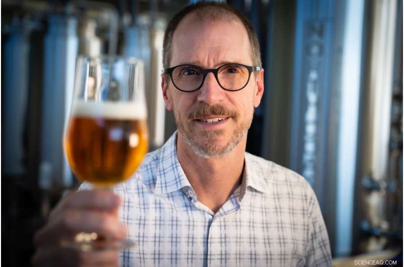 Genetically Engineered Yeast Enhances Hop Aromas in Beer, Study Shows