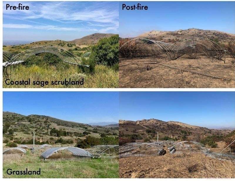 Soil Depth Determines Microbial Response to Environmental Change