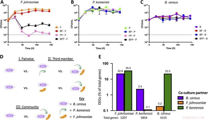 Unraveling Bacterial Communication: Insights into Microbial Interactions