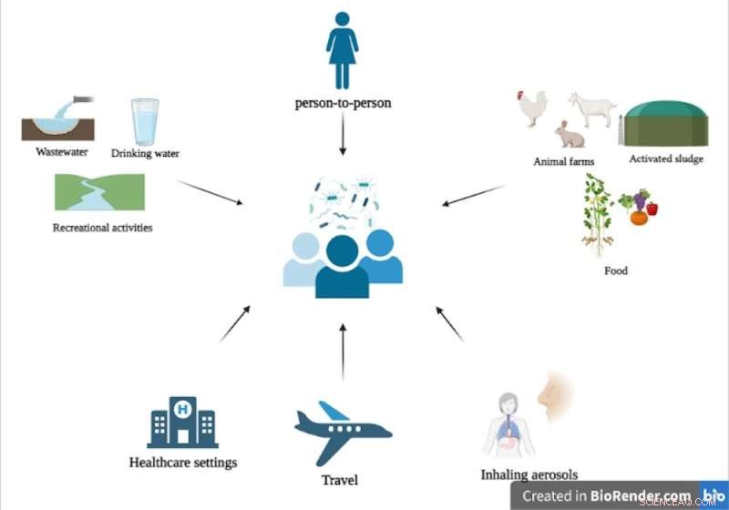 Tracing the Path of Antimicrobial-Resistant Microbes from Environment to Human Health