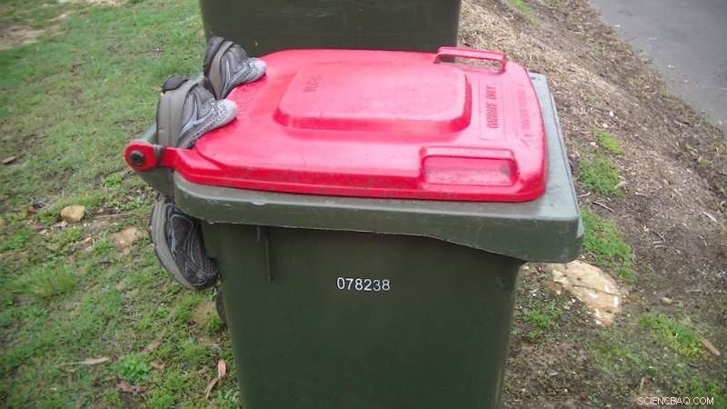 Sydney Cockatoos Outsmart Bin Locks: The Ongoing Battle to Keep Food Waste Safe