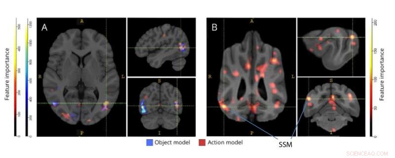 Machine Learning Decodes Canine Vision: Insights into How Dogs Process Visual Information