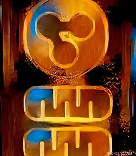 Data Science Uncovers Universal Rules Governing Cellular Powerhouses