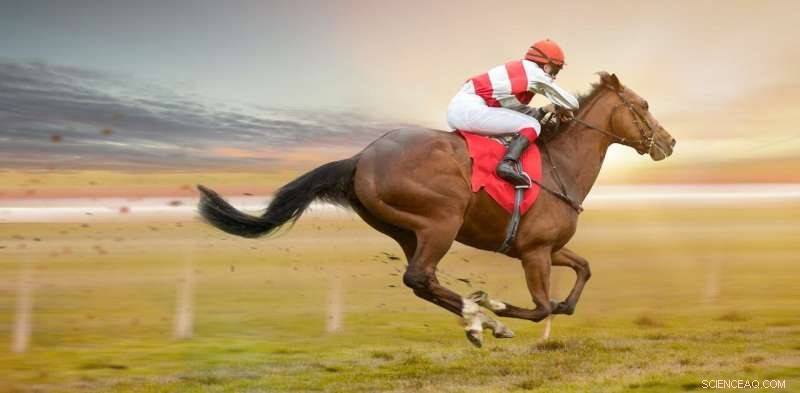Reevaluating Horse Racing Whipping: Aligning Practice with Scientific Evidence