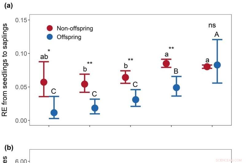 Adult Tree Effects on Offspring and Non-Offspring Recruits in Subtropical Forests