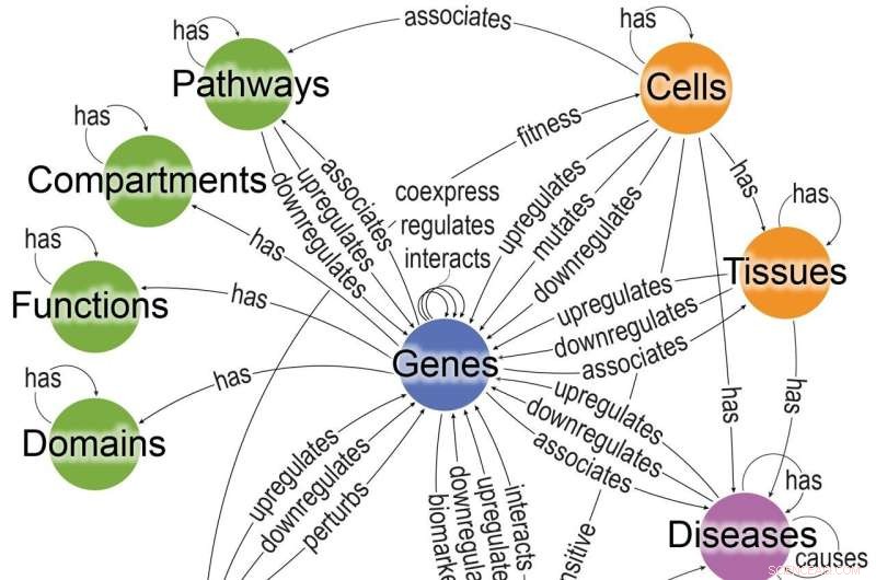 Bioteque: A Cutting-Edge Computational Platform Harmonizing Biological Knowledge
