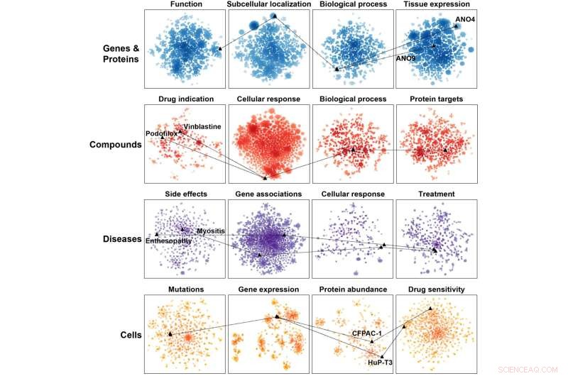 Bioteque: A Cutting-Edge Computational Platform Harmonizing Biological Knowledge