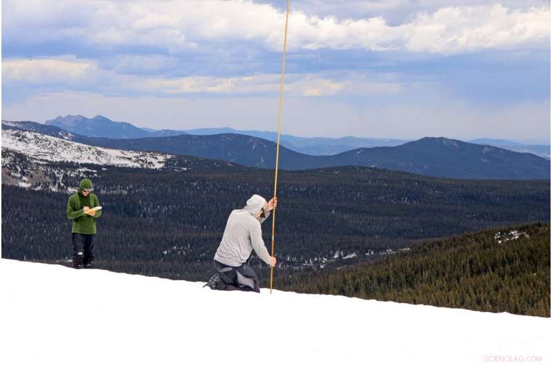 Ecologists Transport 5,000 lbs of Sand Up a Mountain to Study Effects of Rising Summer Temperatures