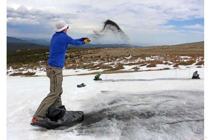 Ecologists Transport 5,000 lbs of Sand Up a Mountain to Study Effects of Rising Summer Temperatures