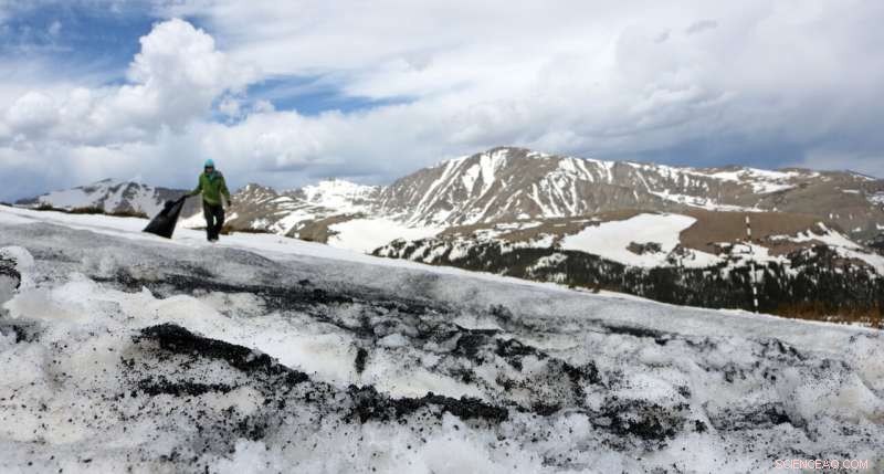 Ecologists Transport 5,000 lbs of Sand Up a Mountain to Study Effects of Rising Summer Temperatures
