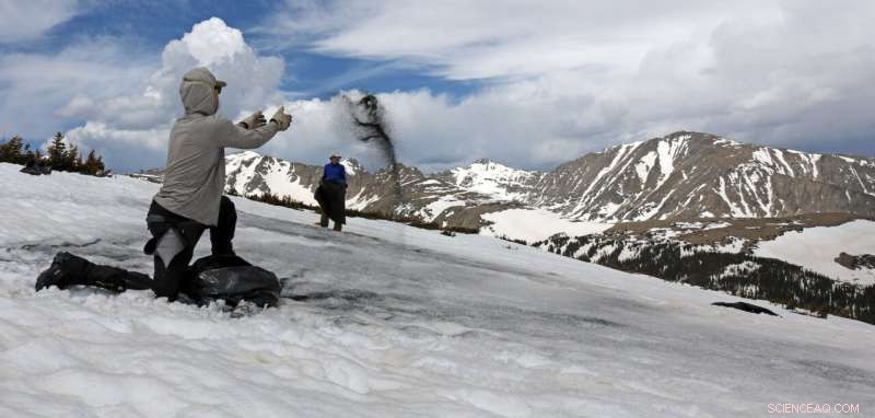 Ecologists Transport 5,000 lbs of Sand Up a Mountain to Study Effects of Rising Summer Temperatures