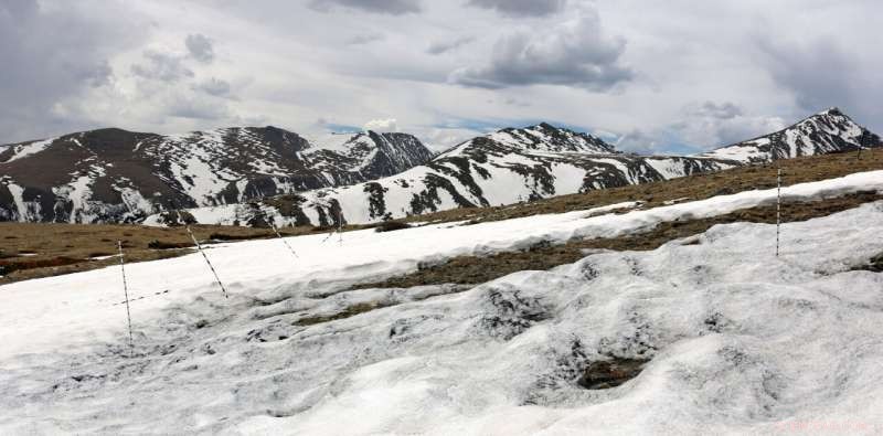 Ecologists Transport 5,000 lbs of Sand Up a Mountain to Study Effects of Rising Summer Temperatures