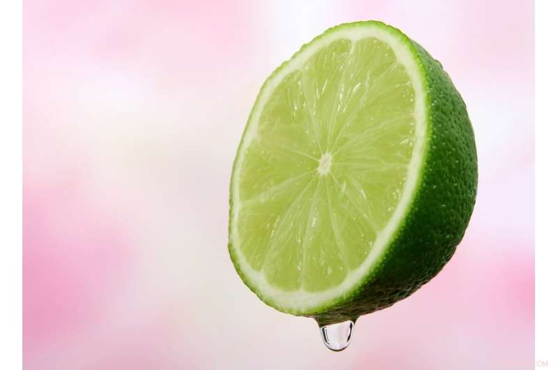 ShanghaiTech Scientists Reveal First 3D Cryo‑EM Structure of Human Bitter Taste Receptor TAS2R46