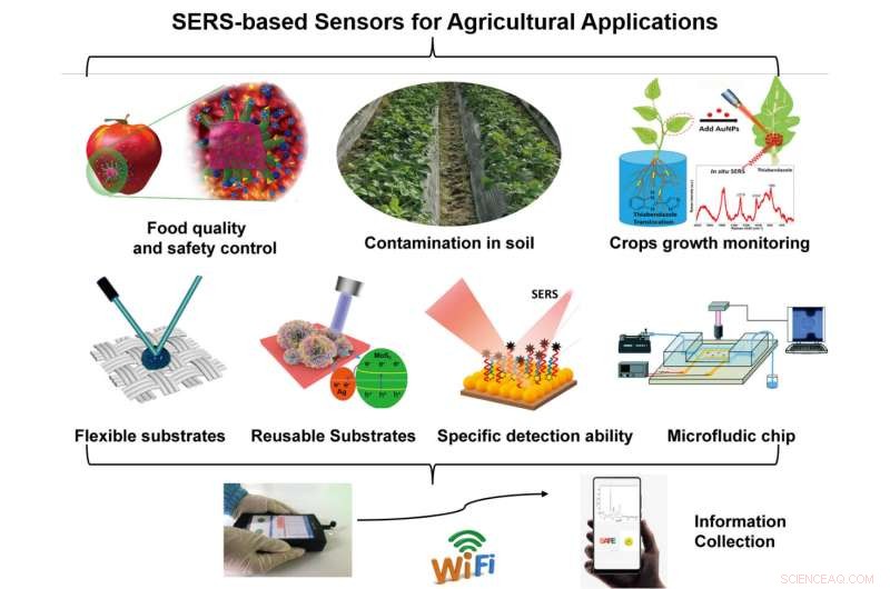 SERS-Based Sensors in Agriculture: Comprehensive Review of Research and Applications
