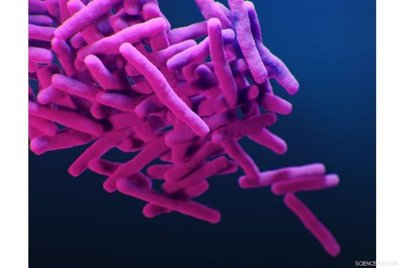 AI-Driven Innovations Boost Tuberculosis Treatment Effectiveness