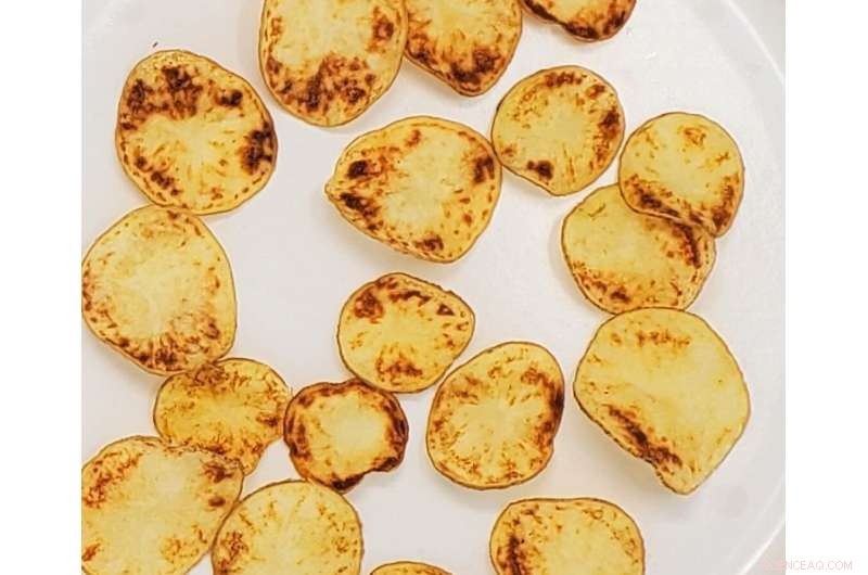 Wild Potato Relatives Show Promise in Battling Zebra Chip Disease