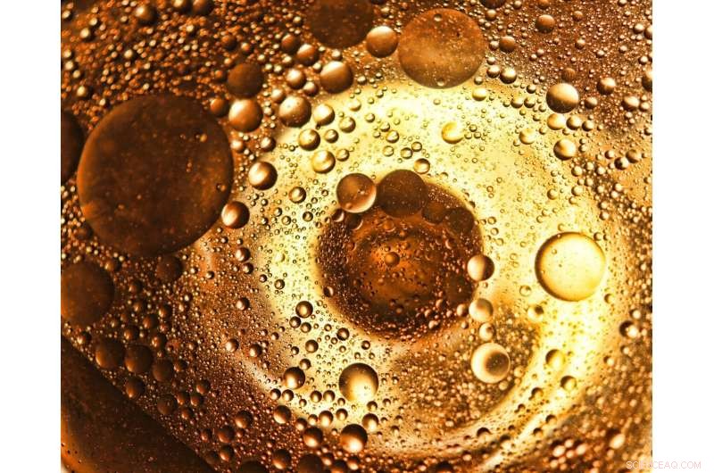 How Liquid Droplets Inside Cells Function as Natural Computers