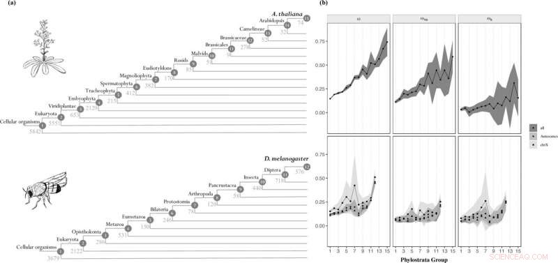 New Study Reveals Younger Genes Adapt More Rapidly Than Older Counterparts