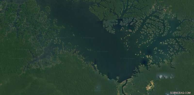 Balbina Dam Creates Thousands of Forest Islands—Yet Most Cannot Sustain Biodiversity