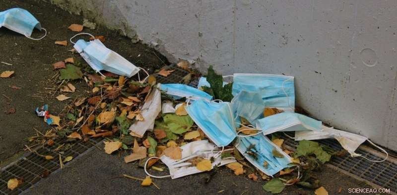 COVID‑19 Masks Threaten Urban Wildlife: The Growing Plastic Pollution Crisis