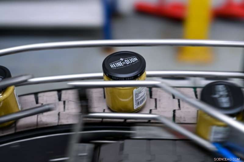 Dijon Mustard Shortage Explained: Causes and Consumer Impact