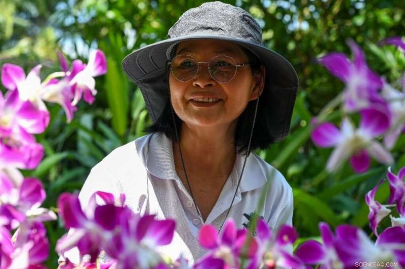 Singapore’s Dendrobium Elizabeth Orchid Honors Queen Elizabeth II