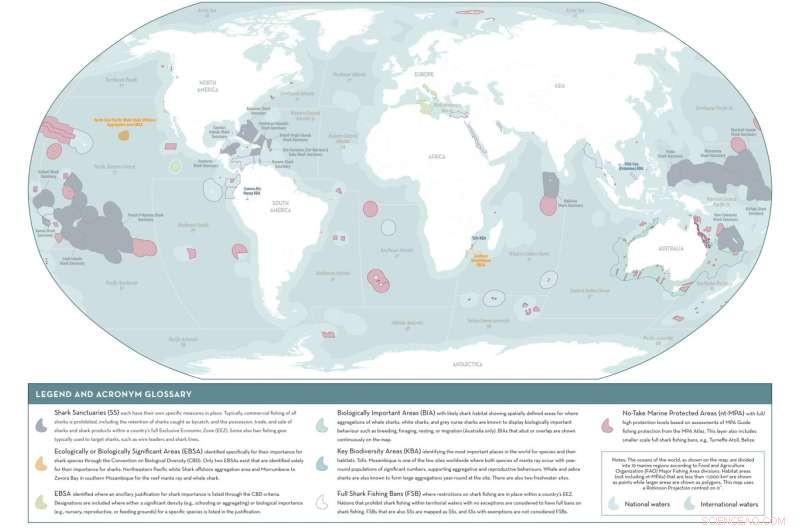 New Global Standard Identifies Critical Shark Habitats for Marine Conservation