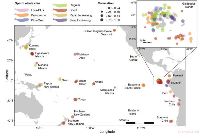 Sperm Whale Clans Use Vocalizations to Define Cultural Identity