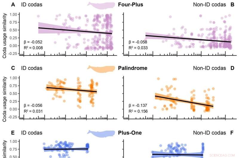 Sperm Whale Clans Use Vocalizations to Define Cultural Identity