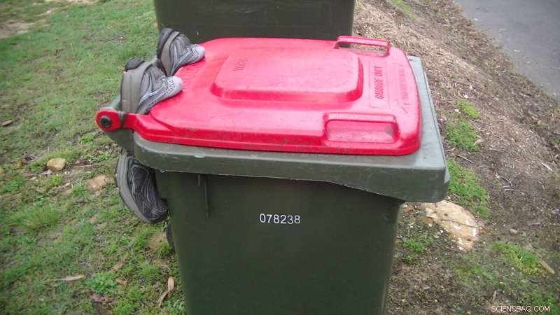 Sydney’s Cockatoos vs. Residents: A Clever Fight Over Garbage Access