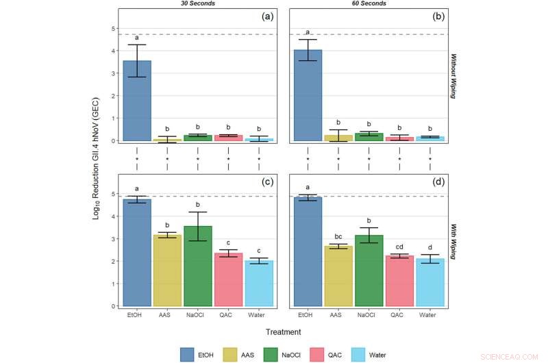 Commercial Sanitizers Fall Short in Killing Norovirus: New Study Reveals