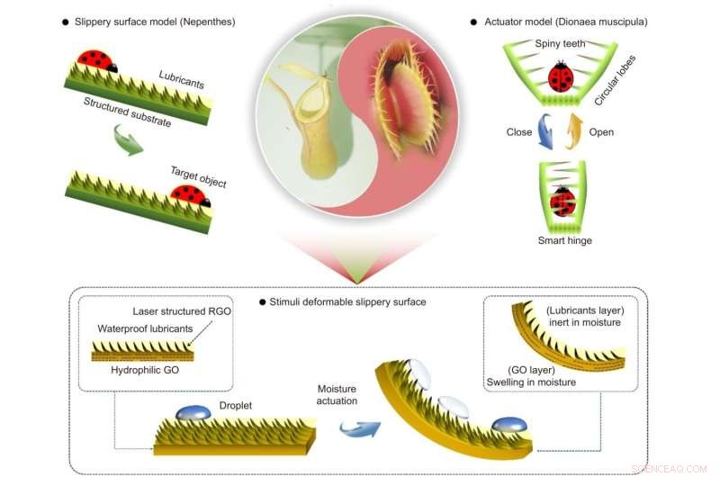 Carnivorous Plants Inspire Advanced Slippery Surfaces & Bionic Robots