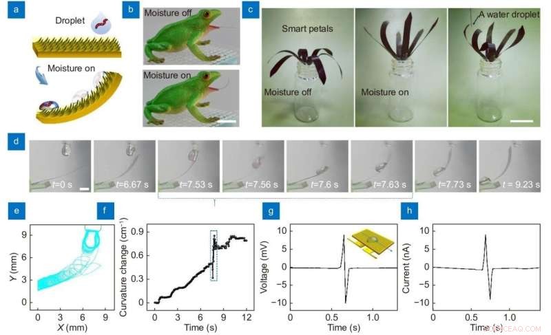 Carnivorous Plants Inspire Advanced Slippery Surfaces & Bionic Robots