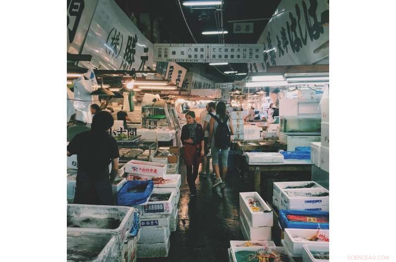 Using Chemical Fingerprinting to Combat Seafood Fraud and Illegal Fishing