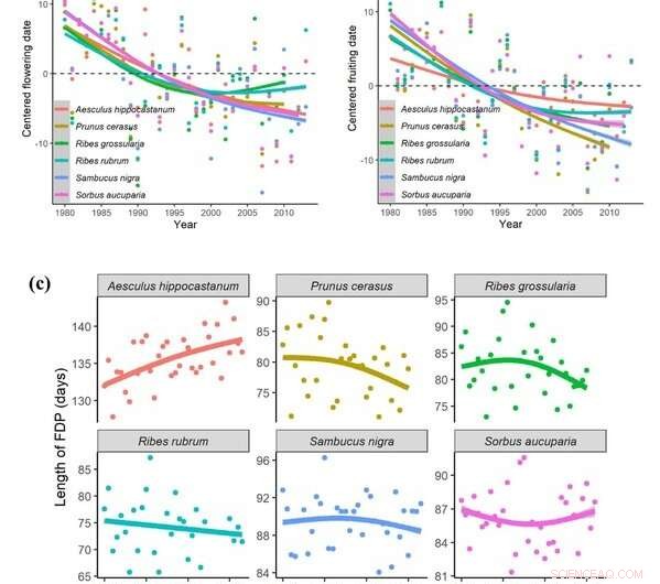 Study Reveals Divergent Reproductive Timing in Temperate Woody Plants