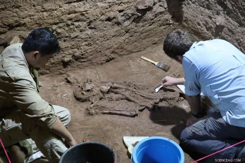 31,000‑Year‑Old Borneo Skeleton Reveals Successful Ancient Amputation Surgery