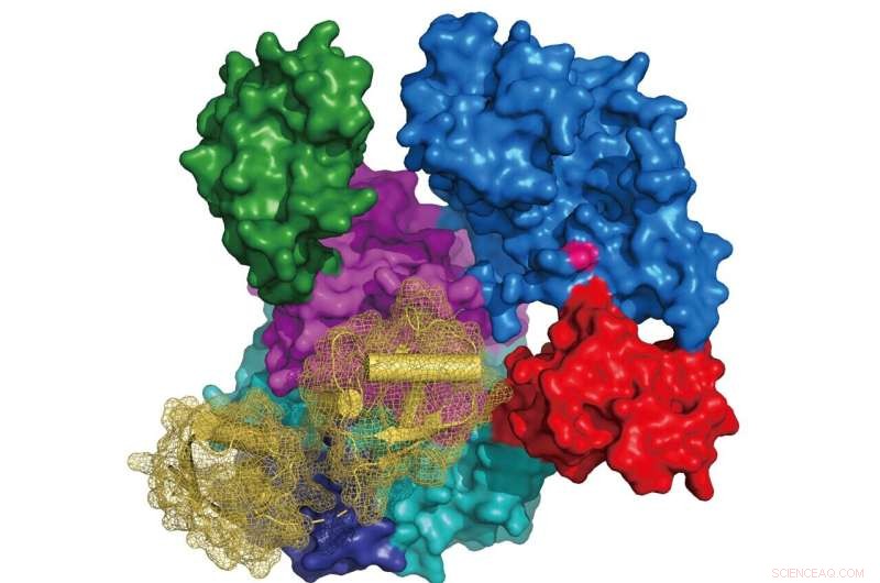 UBA6: Dual Functionality Unveiled in Recent Crystal Structures