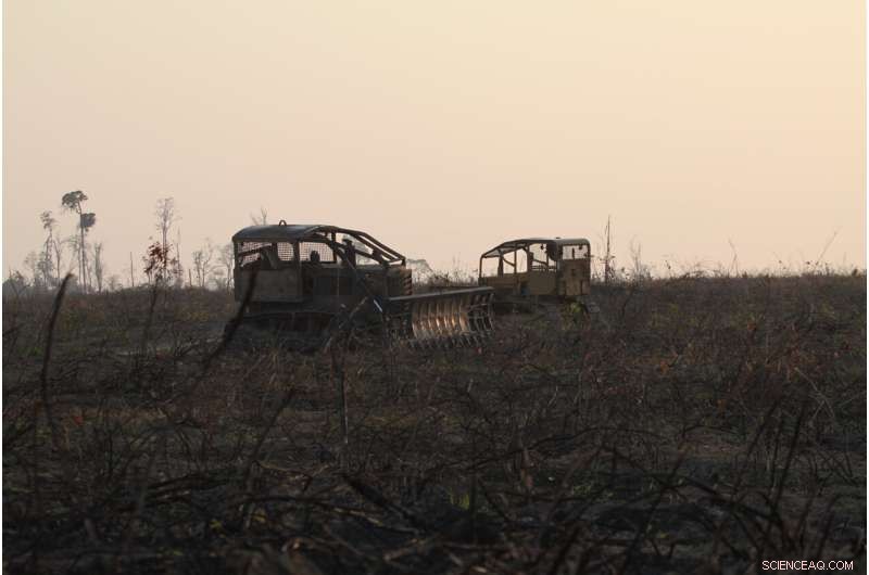 Agriculture Accounts for Over 90% of Tropical Deforestation, New Study Reveals